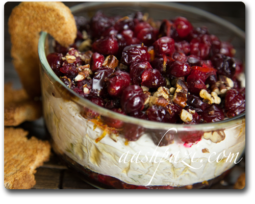 Cranberry Brie Cheese Dip
